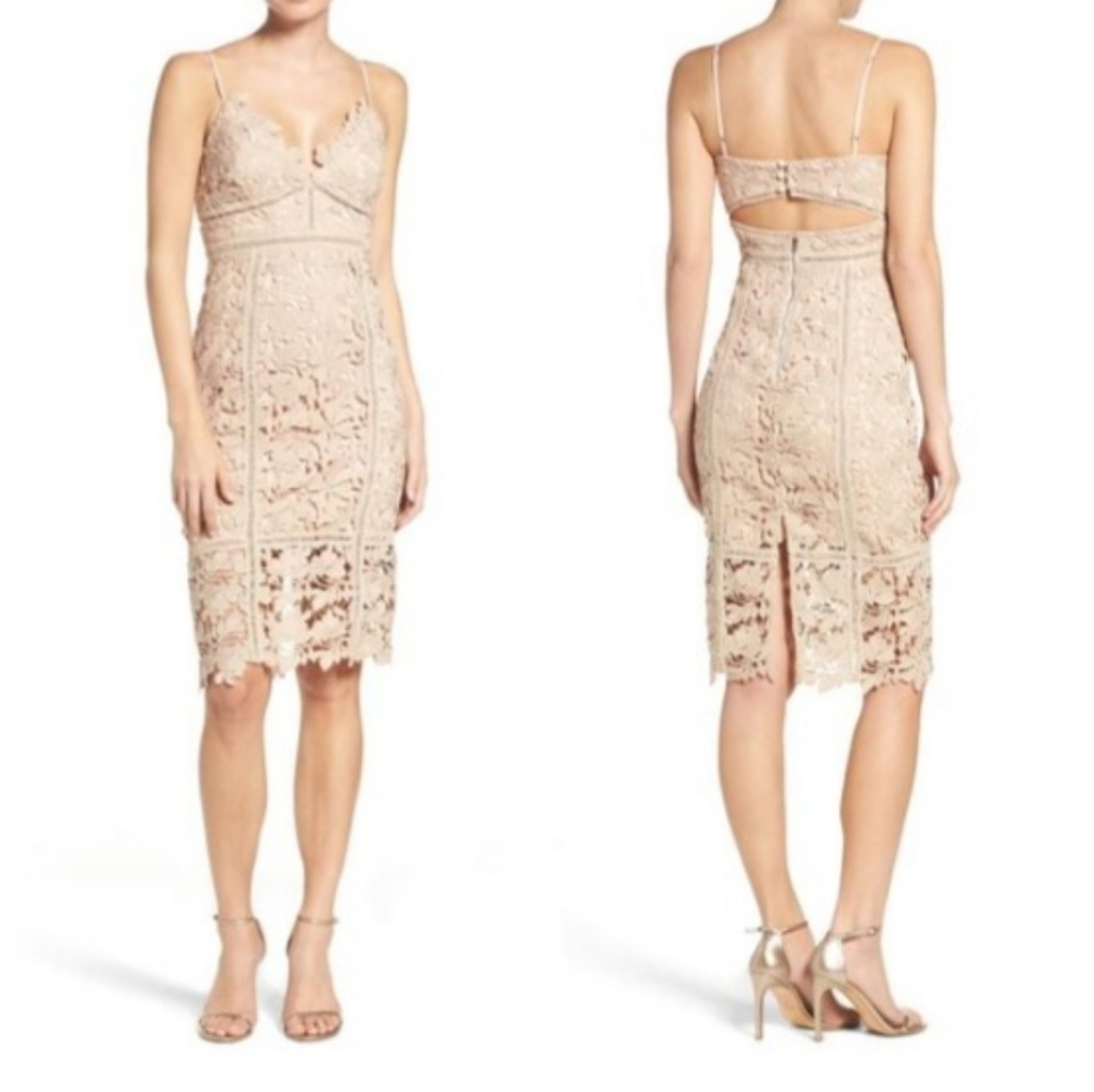 Bardot botanical lace cocktail dress